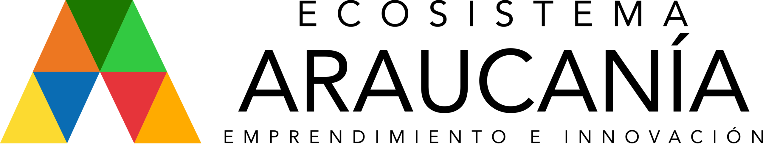 Partner 4